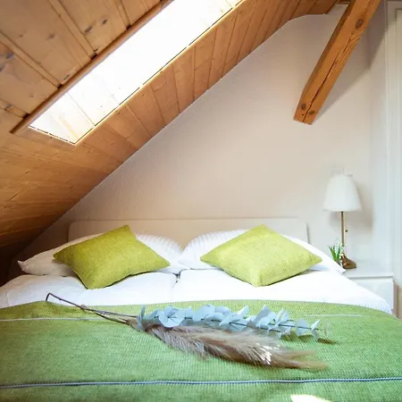 Wellness Mitten In Der Wasserfallstadt Triberg Triberg im Schwarzwald Exterior photo