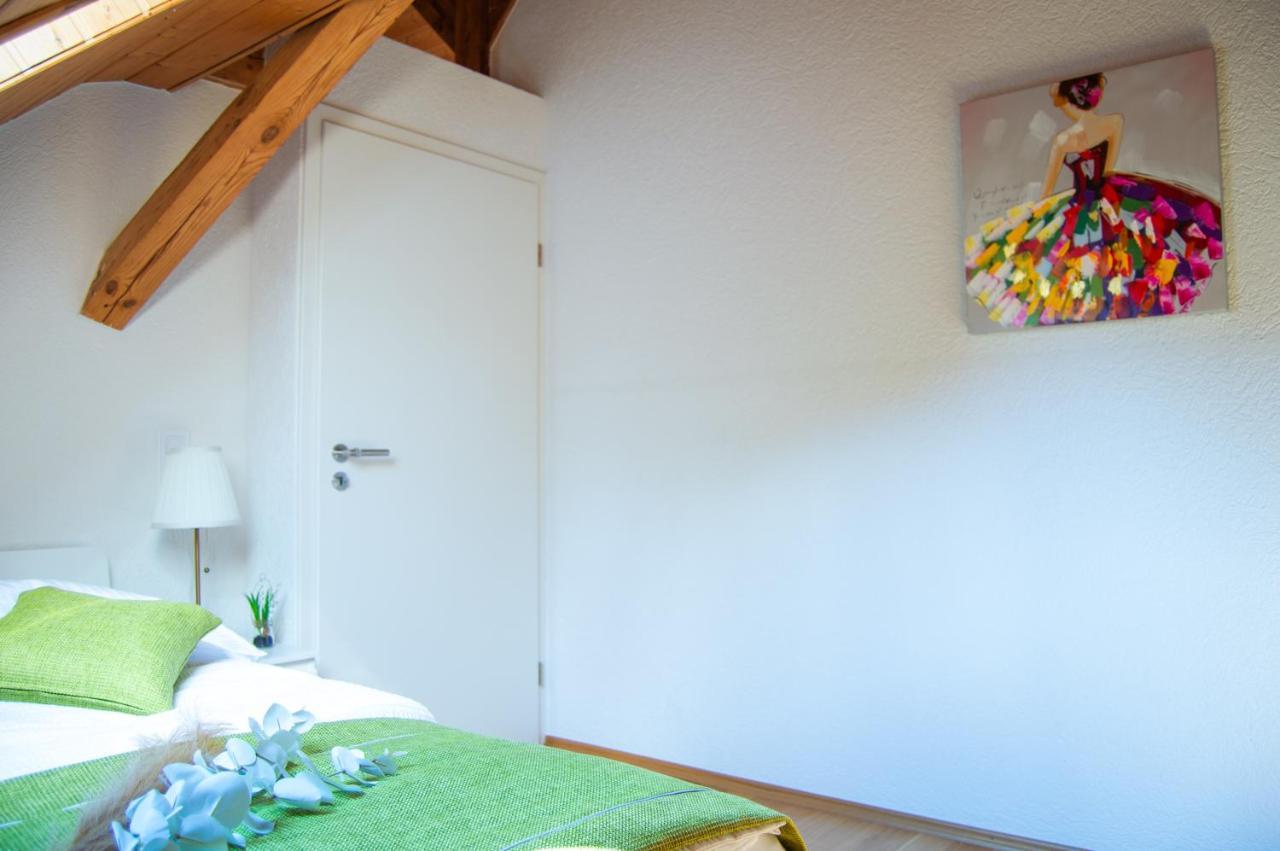 Wellness Mitten In Der Wasserfallstadt Triberg Apartment *