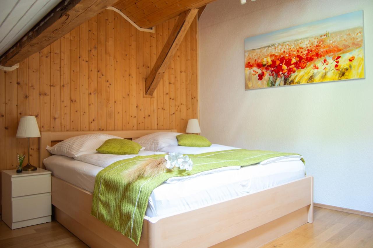 Wellness Mitten In Der Wasserfallstadt Triberg Apartment